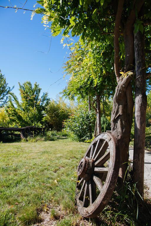 Bed and Breakfast I Grilli Castagnole delle Lanze Exterior foto